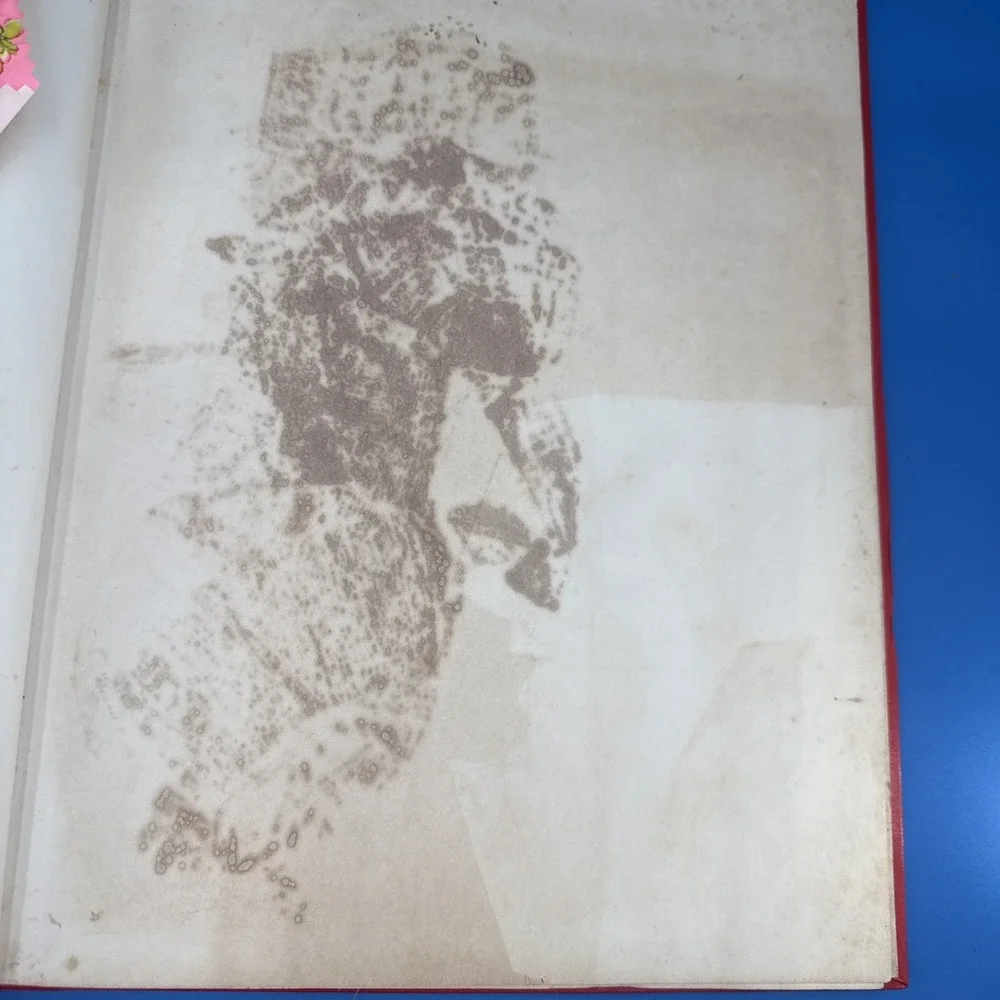 Vtg 1970's Red Wilco Scrapbook White Kitty Cat Flowers Large